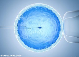 靠谱拉拉借卵咨询